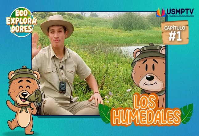 Capítulo N° 1: Los Humedales